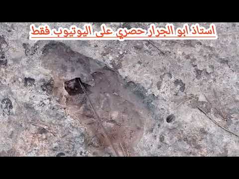 تحليل جميع الاشارات والرموز حصري على اليوتيوب فقط مع الاستاذ ابو الجرار