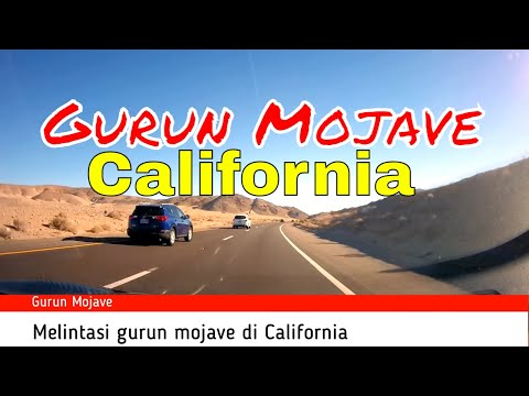 Video: Apakah jenis tumbuhan yang terdapat di Gurun Mojave?