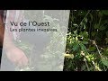 Ecologie  des plantes bien invasives