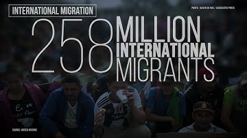 International migration by the numbers | Perspective with Alison Smith