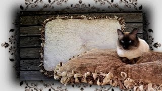 Diy 😻 Knoten Kuschelkissen Für Katzen & Hunde | Handmade No Sew Cat Bed