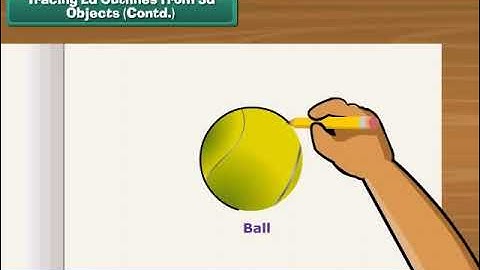 Shapes and Spaces | Class II Mathematics 