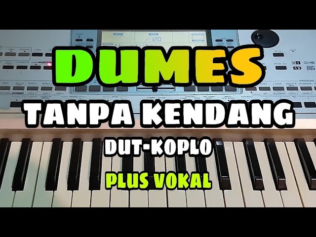 DUMES || TANPA KENDANG DUT-KOPLO || PLUS VOKAL class=