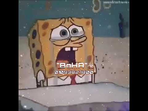 الامل في بوقهم زي اللبانه