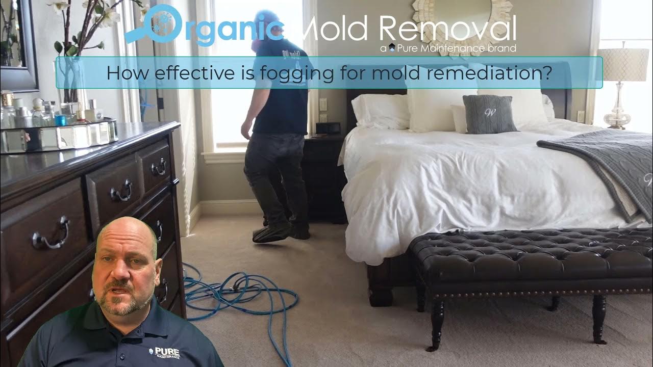 Organic Mold Removal How effective is fogging for mold remediation? YouTube