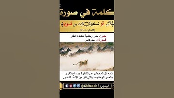 [كأنهم حمر مستنفرة()فرت من قسورة()]