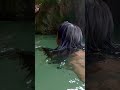 2025｜菲律賓科隆島｜麗星郵輪探索星號岸上觀光行程宣傳