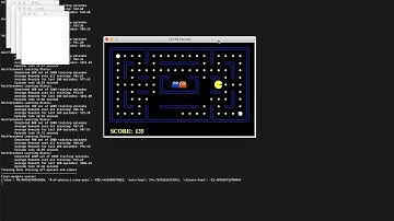 Reinforcement Learning Pac-man Agent