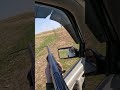 13 штук с одного выстрела