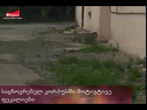 საცხოვრებელ კორპუსში მოტივტივე ფეკალიები