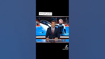 بسبب حوت الأوركا المروضة جيسيكا تلقى حذفها المغرب الجزائر مصر حوت Maroc Dz Algerie Fyp 