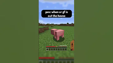 Sus Minecraft Pig 