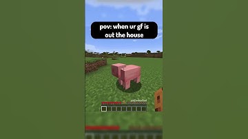 sus minecraft pig