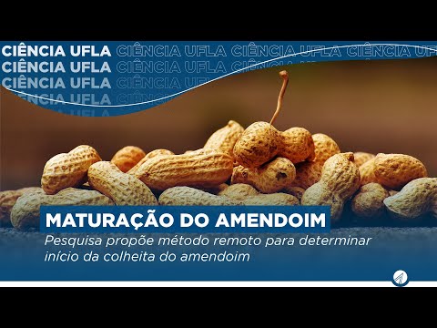 Pesquisa propõe método