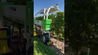 Field Demo Of Weeding Robot Ted In Ontario || Made By Naio Technologies France || #Shorts