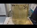 Useful liquid culture recipe mycology