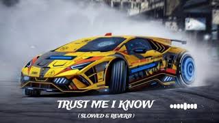 TRUST ME I KNOW || Slowed & Reverb || New Punjabi Song By Relaxed Reverb.