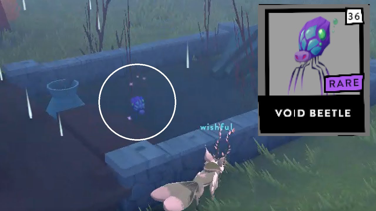 All Void Beetle Locations - Fer.al