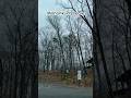 Trek to Mohonk Preserve.                    #usa #ytshorts