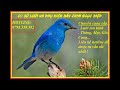 Tiếng chim họa mi mắt vàng