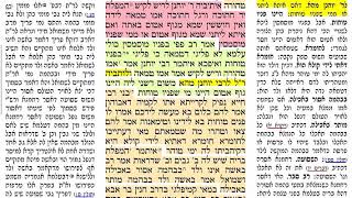 דף יומי מסכת נידה דף כד Daf yomi Niddah daf 24