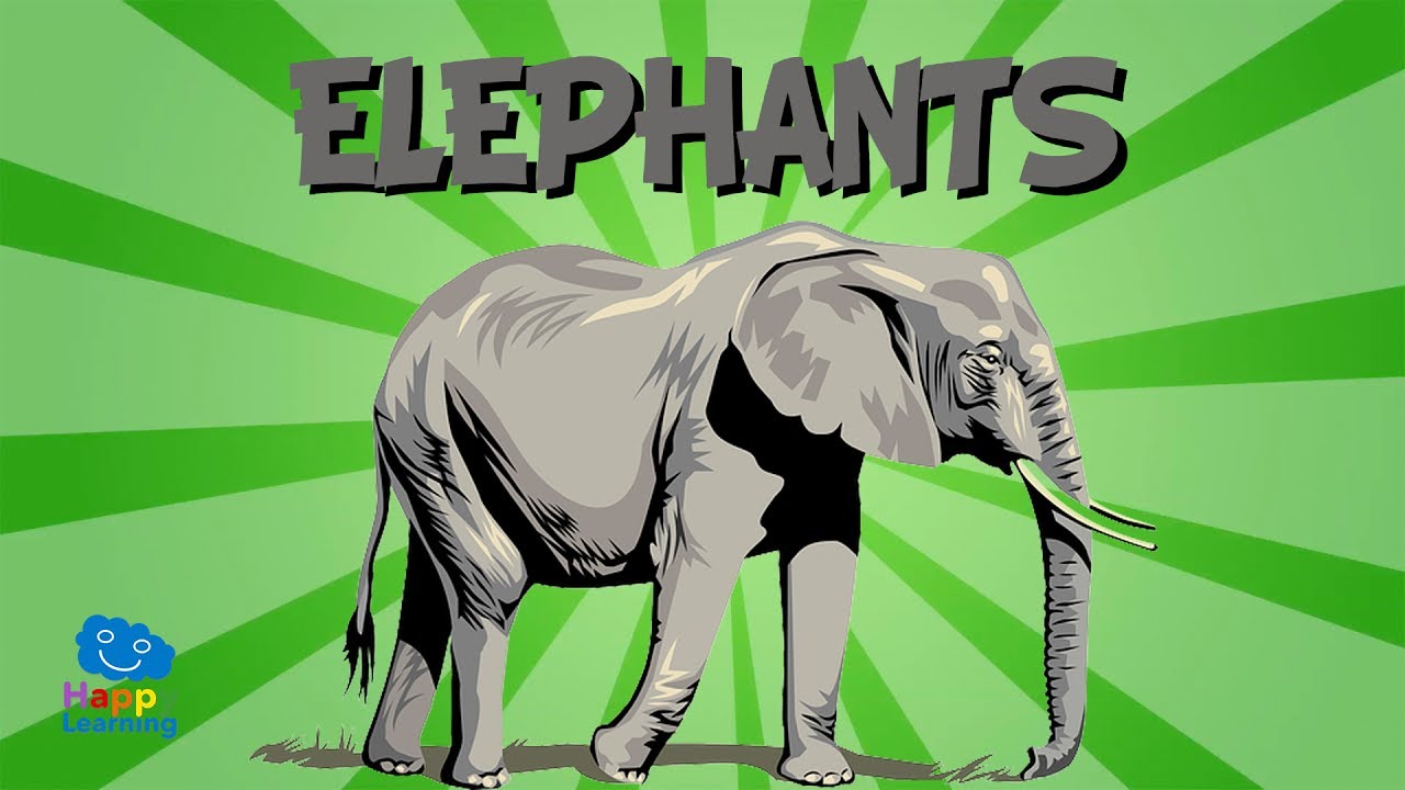The Elephant | Educational Video for Kids. - YouTube