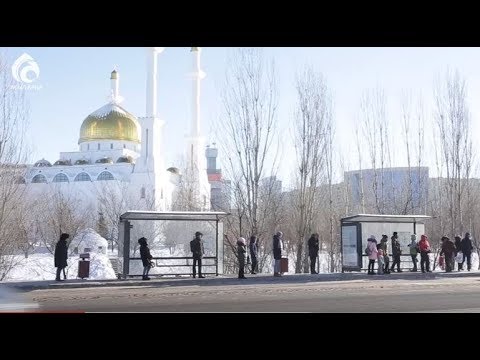 Бейне: Бақара дақылдарының нематодтарын басқару: қарабитті нематодтармен қалай емдеуге болады