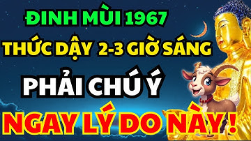 Đinh Mùi 1967 Thức Giấc Vào Giữa Đêm Khoảng 2-3 Giờ Sáng? Nếu Có Thì Hãy Xem Hết Video Này Để Hiểu!