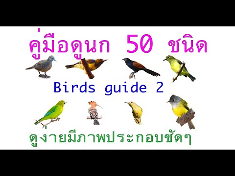 คู่มือดูนก50ชนิดฉบับพิเศษ EP2 Birds guide ep2