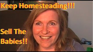 Sell Your Extra Lambs and Goat Kids! Make Money Homesteading!!! by Briar Patch Creamery 53 views 5 years ago 11 minutes, 21 seconds