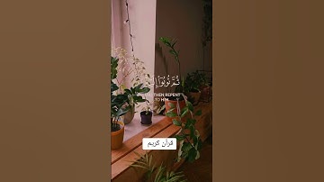 قرآن كريم #المصحف #راحة_نفسية #الرحمن #قرآن #قران_كريم #قران