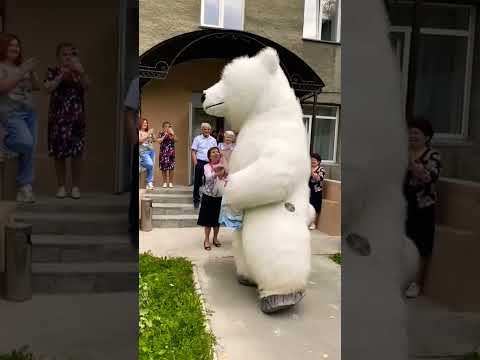 Поздравление от Медведя Томаса на юбилей свадьбы 🎂 50 лет совместной жизни ❤️ Вау. Поздравляем 🔥🥳🎁