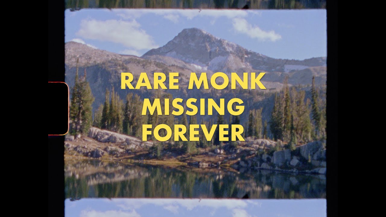 Watch Rare Monk - "Missing Forever" (Official Video) on YouTube Watch Rare Monk - "Missing Forever" (Official Video) on YouTube