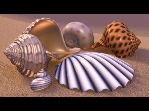 Procedural Shell Demo