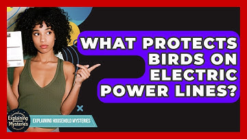 What Protects Birds On Electric Power Lines? - Explaining Household Mysteries