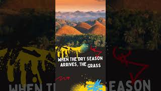 There's a Nature's Sweetest Trick in the Philippines!