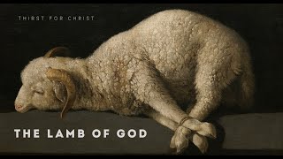John 1:29-34 ( January 18, 2026 Sunday ) Gospel Reading & Reflection Year B | Lamb of God - Jesus