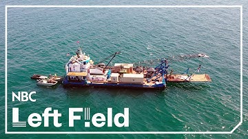 Army Divers Go Deep In Puget Sound to Target Derelict Fishing Nets | NBC Left Field