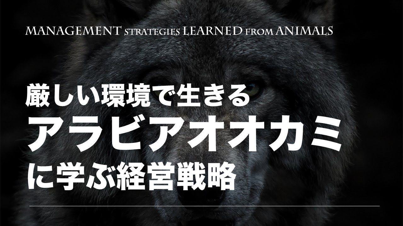 市場の変化に対応する アラビアオオカミに学ぶ経営戦略