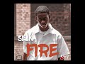 Sean  fire official audio