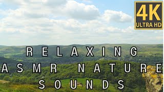 Relaxing English Scenery Light Breeze and Bird Sound | White noise for sleep | Sound of nature asmr