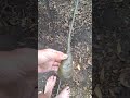 Cómo poner la pega pega en un alambre