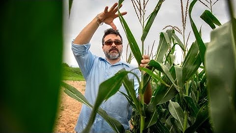 Plant breeder taps latest technology to feed the world