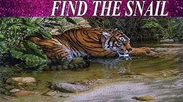 Can You Find The Hidden Objects | 99% Fail | Hardest Game | Brain Booster