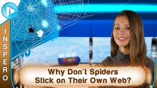 Why Don't Spiders Stick on Their Own Web?
