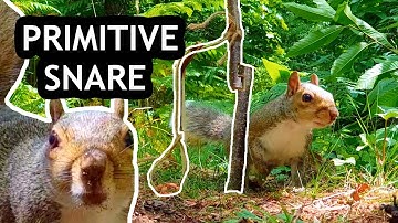 HOW TO SET UP A SNARE ● LEARNING PRIMITIVE TRAPPING SKILLS