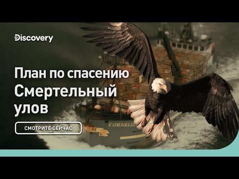 План по спасению | Смертельный улов | Discovery