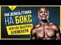 👍Как делать ставки на бокс или ставки на бои UFC. Стратегия как ОБЫГРАТЬ букмекерскую контору!