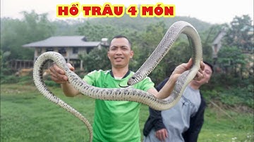 CÙNG EM HÀNG XÓM CHẾ BIẾN RẮN HỔ TRÂU 4 MÓN CỰC NGON - MỒI NHẬU SIÊU BÉN CHO HÈ NÀY / CƠM QUÊ TV
