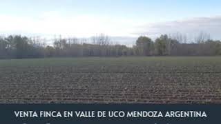 VENTA FINCA EN VALLE DE UCO MENDOZA ARGENTINA
